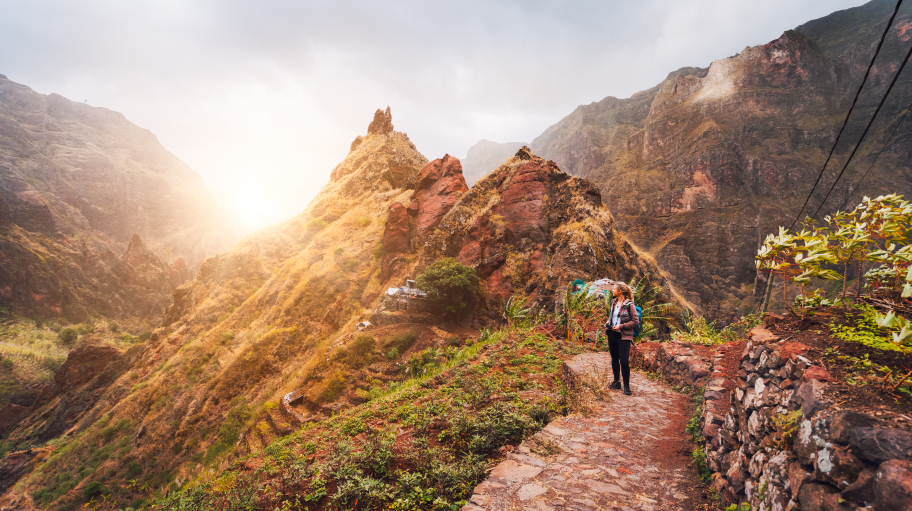 AdobeStock 313598134